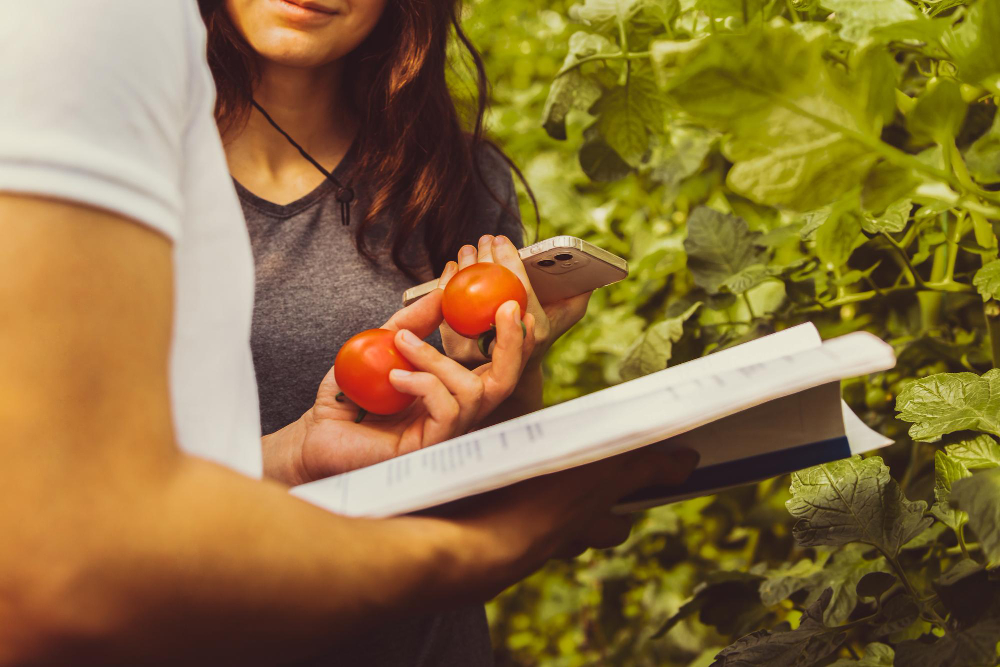 Cum să-ți cultivi recunoștința pentru o stare de bine durabilă