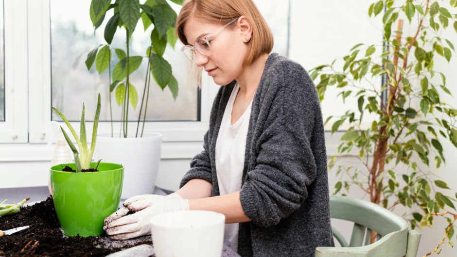 Cum să îți protejezi sistemul imunitar printr-o dietă bazată pe plante
