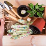 Organizarea eco-friendly a casei tale