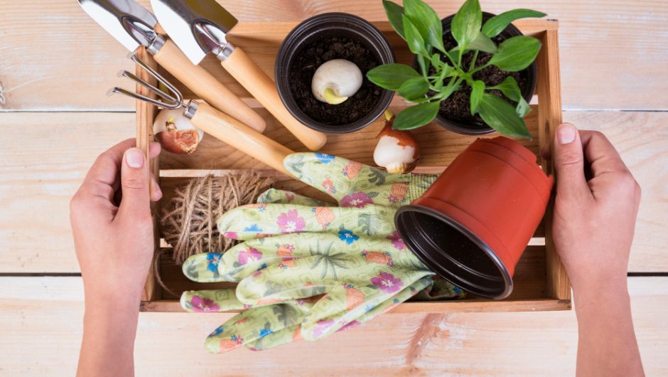 Organizarea eco-friendly a casei tale